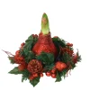 Kamerplanten-Plant in a Box Amaryllis - Hippeastrum 'Kerstkrans' - Rood