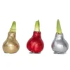 Plant in a Box Amaryllis - Set van 3 - Hippeastrum 'Glitter Mix' - Bloembol - Rood