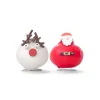 Kamerplanten-Plant in a Box Amaryllis - Set van 2 - Hippeastrum 'Wax special Santa Mix'