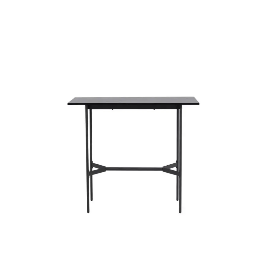 Bartafels-Fjôrd Bartafel Zwart Hout - 120x60x105cm - Rax