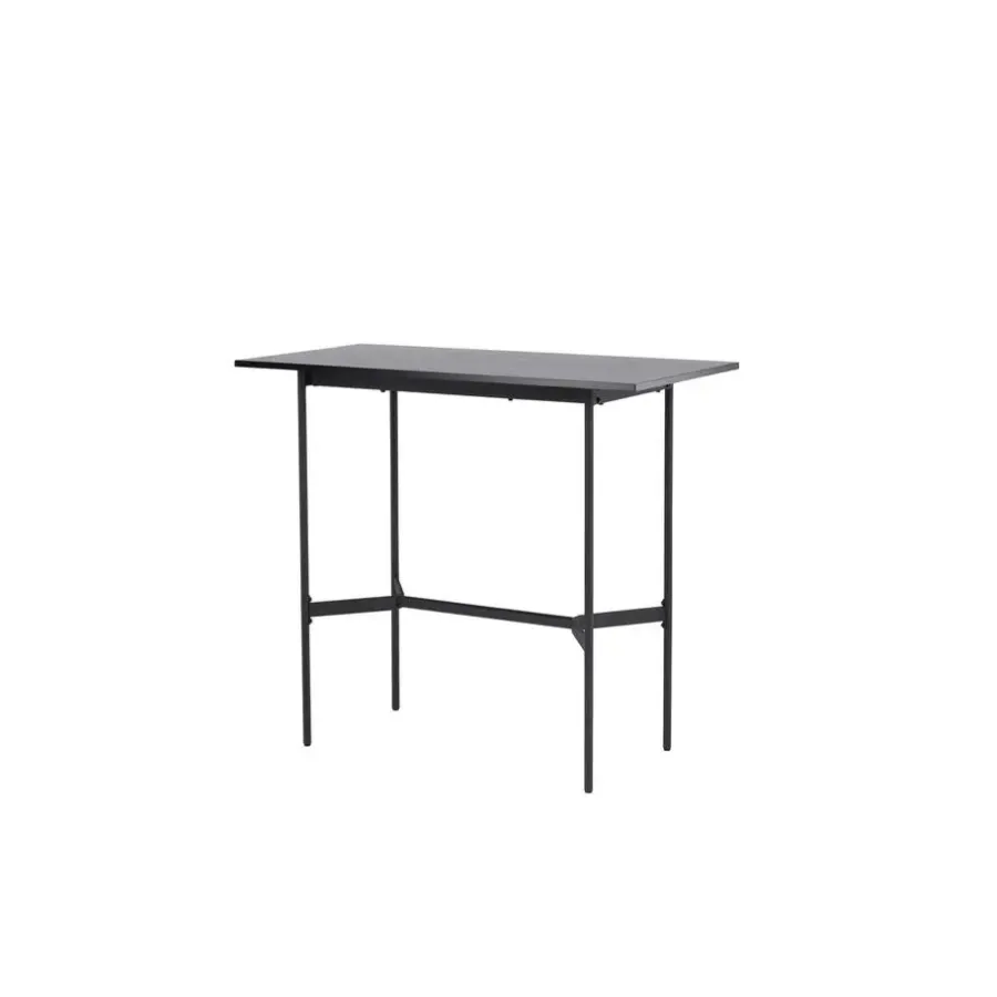 Bartafels-Fjôrd Bartafel Zwart Hout - 120x60x105cm - Rax