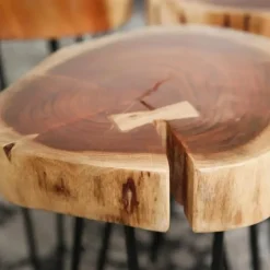 Dimehouse Bijzettafel Boomstam Arbor acaciahout - 32x32x45 cm - Hout - Bruin