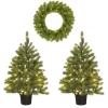 Kerstbomen-Black Box Trees Nagoya Set van 2 Kerstbomen en 1 Krans - H90 x Ø45 cm