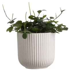 Bloempotten|Bloempotten Voor Binnen-Leen Bakker Bloempot Ribe - grijs - keramiek - 14xØ14,5 cm