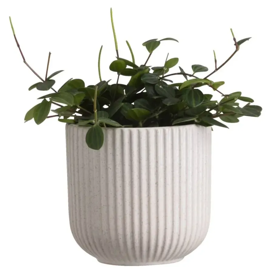 Bloempotten|Bloempotten Voor Binnen-Leen Bakker Bloempot Ribe - grijs - keramiek - 14xØ14,5 cm