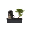 Kamerplanten-Plant in a Box Bonsai met Buddha - Bonsai - Hoogte 25-35cm - ⌀29cm
