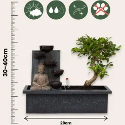 Kamerplanten-Plant in a Box Bonsai met Buddha - Bonsai - Hoogte 25-35cm - ⌀29cm