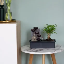 Kamerplanten-Plant in a Box Bonsai met Buddha - Bonsai - Hoogte 25-35cm - ⌀29cm