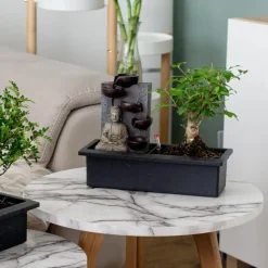 Kamerplanten-Plant in a Box Bonsai met Buddha - Bonsai - Hoogte 25-35cm - ⌀29cm
