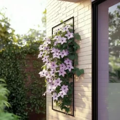 Plant in a Box Bosrank - 2 stuks - Clematis 'Hagley Hybrid' - Hoogte 100-120cm - ⌀17cm