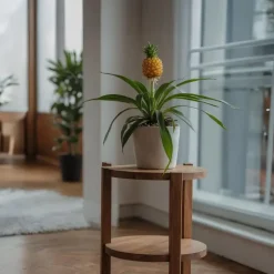 Kamerplanten-Plant in a Box Bromelia - Ananas comosus 'Mi Amigo' - Hoogte 35-45cm - ⌀12cm
