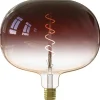 Lichtbronnen-Calex Boden LED - bruin - 5W - dimbaar