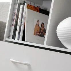 Boekenkasten|Boekenkasten-Calicosy - Opbergplank met 4 compartimenten - 29,5x62x80 cm