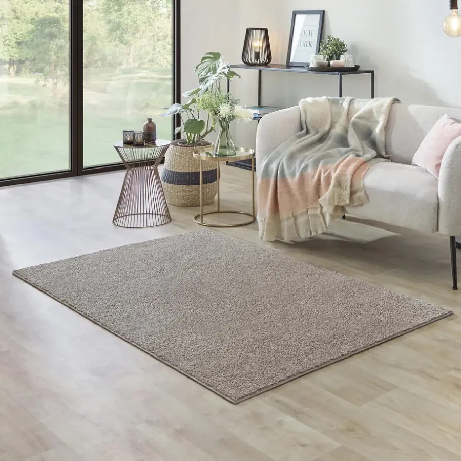 Carpet Studio Ohio Vloerkleed - Beige - 115x170cm