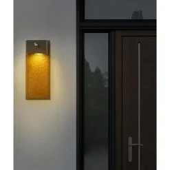 Beliani CARRON - Wandlamp - Zwart - Ijzer