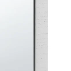 Spiegels-Leen Bakker CHANU - Wandspiegel - Zilver - Hout