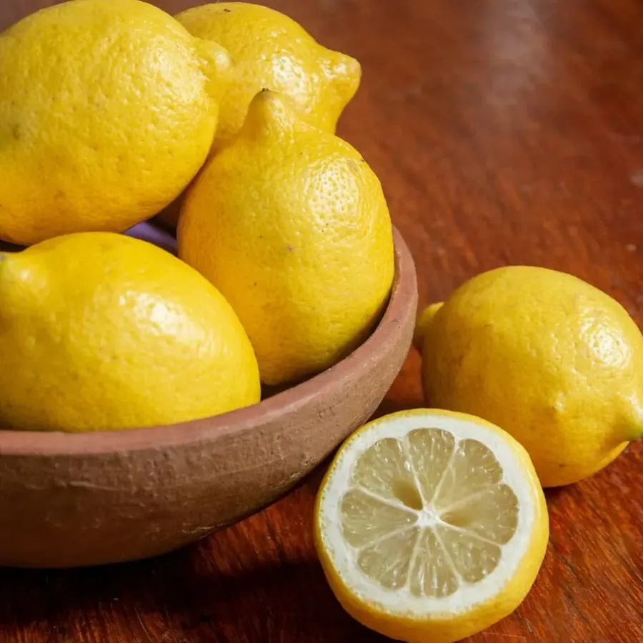 Plant in a Box Citroenboom - Set van 3 - Citrus limon - Hoogte 25-40cm - ⌀9cm