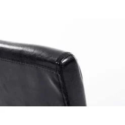 Eetkamerstoelen-CLP Eetkamerstoel Ina natura Frame - Kunstleer - zwart
