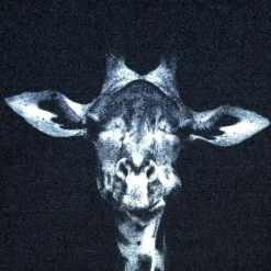 Deurmatten-Vica International Deurmat Wild Life Giraffe - 66x120 cm