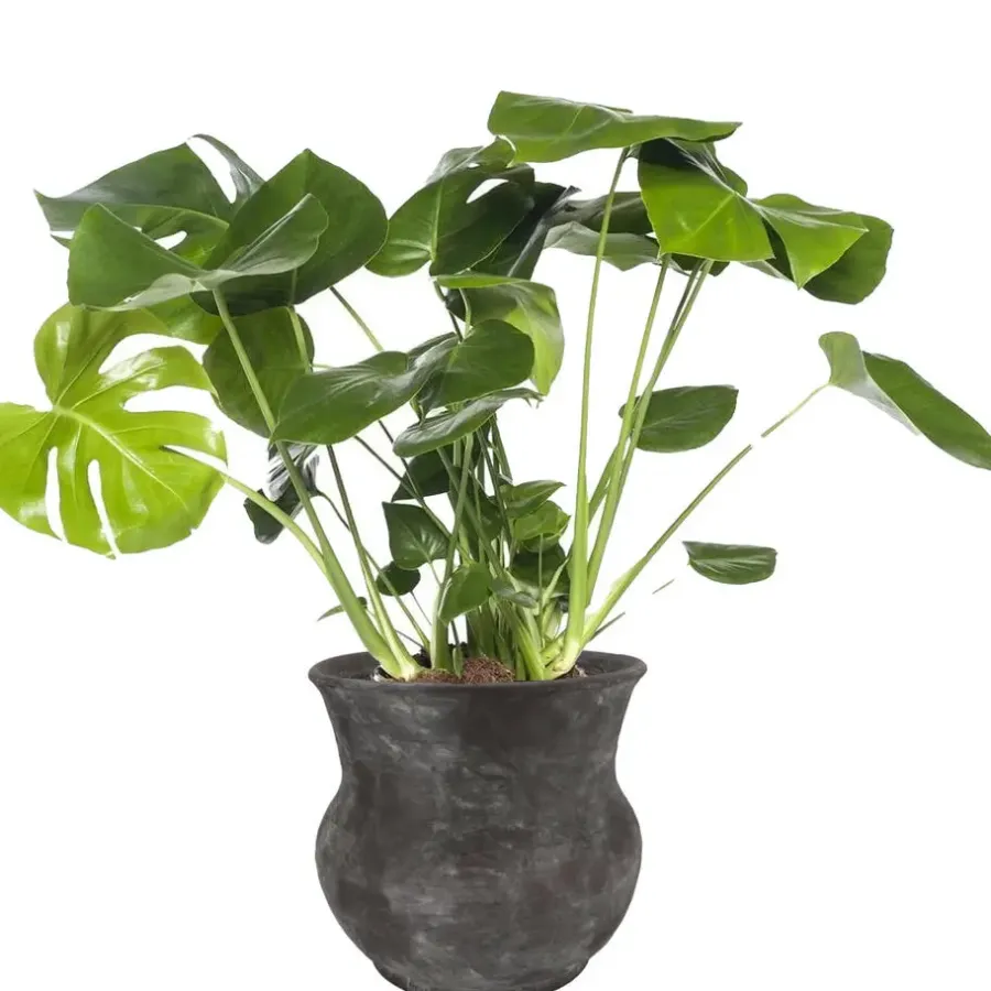 Bloempotten Voor Binnen-DK Design plantenpot - antraciet - voor kamerplant - 34 x 34 cm