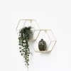 Wandrekken-IVOL Dubbel zeshoekig metalen wandrek met 2 houten plankjes - 30,5x41 cm - Goud