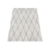 Dutch Lifestyle - Polyester - Vloerkleed - 300x200cm - Wit