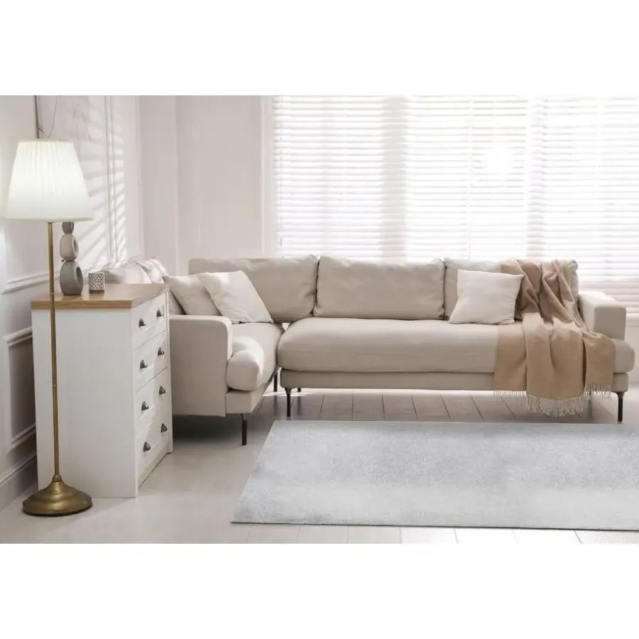 Dutch Lifestyle - Polypropyleen - Vloerkleed - 300x200cm - Grijs