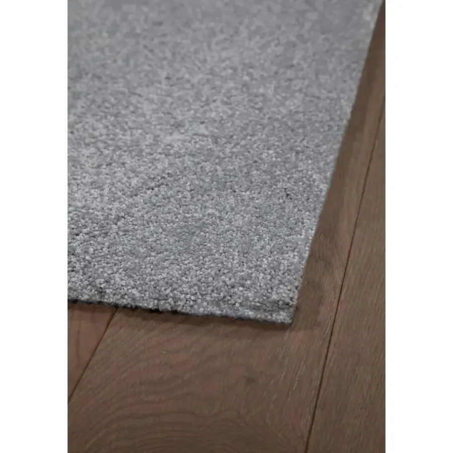 Dutch Lifestyle - Polypropyleen - Vloerkleed - 300x200cm - Grijs