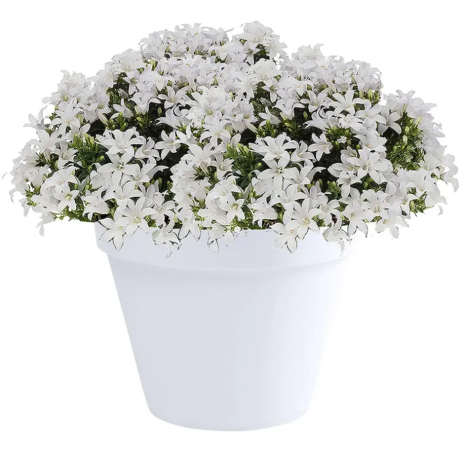 EDA Toscane Bloempot - kunststof - wit - D40 x H32 cm