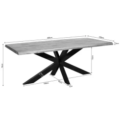 StarFurn Eettafel Rechthoek Naturel Hout - 300x100x76cm - Denver