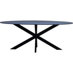 Ovale Eettafels-Giga Meubel Eettafel Zwart Fenix Metaal - 200x90x76cm - Harper