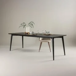 Rechthoekige Eettafels|Industriële Eettafels-Fjôrd Eettafel Zwart Hout - 230x85x75cm - Ellis