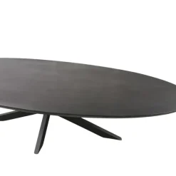 Industriële Eettafels|Ovale Eettafels-StarFurn Eettafel Zwart Hout/Metaal - 240x110x76cm - Brandy