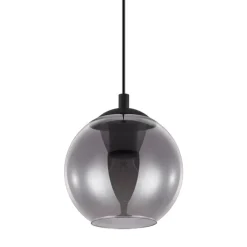 Hanglampen-EGLO Ariscani Hanglamp - E27 - Ø 20 cm - rookglas - Zwart