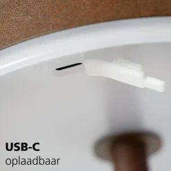 Staande Lampen-EGLO Mannera-L Staande lamp - USB-C - H 140 cm - Roestbruin