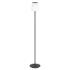 Staande Lampen-EGLO Scordiano-L Vloerlamp - Solar - 120 cm - Zwart