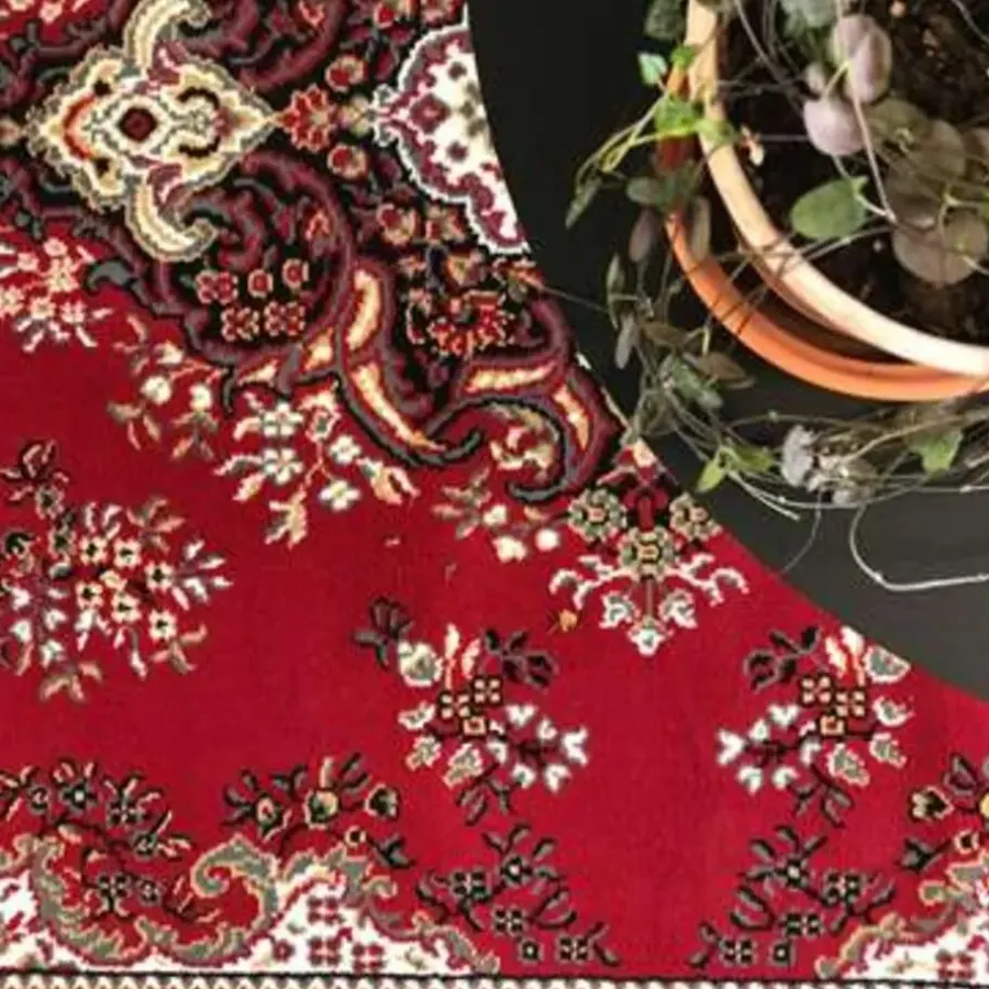 Vloerkleden|Laagpolige Vloerkleden-Interieur05 Eva Interior Vloerkleed Polypropyleen - Perzisch Rood - 185x270cm