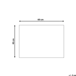 Deurmatten-Beliani FANSIPAN - Deurmat - Zwart - 40 x 60 cm - Kokos
