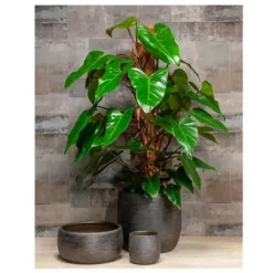 Floran Plantenpot Mira - keramiek - zwart - 18 x 16 cm