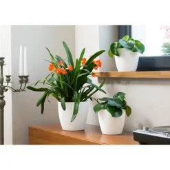 Form Plastic Plantenpot - kunststof - ivoor wit - D13 x H12 cm