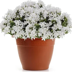Bloempotten-Forte Plastics Bloempot - terracotta - kunststof - 50 cm