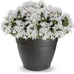 Forte Plastics Bloempot - antraciet - rond - kunststof - 60 cm