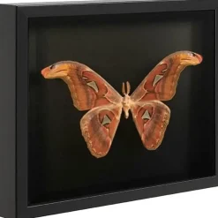 Fotolijsten-Merkloos Fotokader in 3D - Box Frame - Fotolijst - 3.5 cm diep - MDF - 30x40cm - Zwart