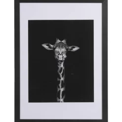 Leen Bakker Fotolijst Haarlem - zwart - 50x70 cm