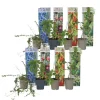 Planten|Bomen-Plant in a Box Fruitstruiken - Set van 8 - Actinidia, Vaccinium, Lycium - Hoogte 25-40cm - ⌀9cm
