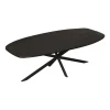 Furndea Eleanor eettafel Deens ovaal zwart - 100x200x76 cm