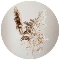 Reinders Glasschilderij Pampasgras - Ø 70cm - Beige