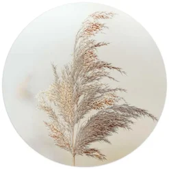 Schilderijen-Reinders Glasschilderij Pluim in de wind - Ø 50cm - Beige