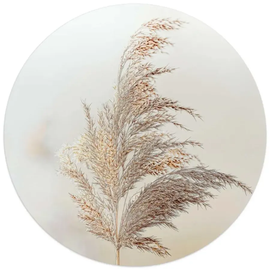 Schilderijen-Reinders Glasschilderij Pluim in de wind - Ø 50cm - Beige