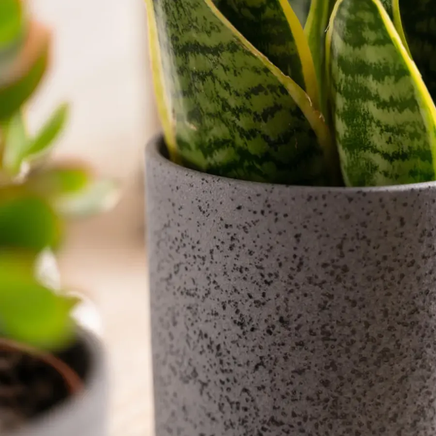 Hakbijl Glass Hakbijl Plantenpot/bloempot Cindy - keramiek - D17 x H17 cm